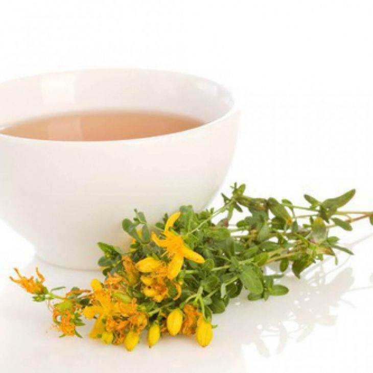 Чай из зверобоя: польза и вред, свойства и особенности применения :: syl.ru