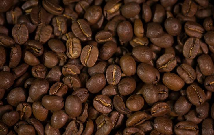 Виды кофе lavazza и особенности приготовления