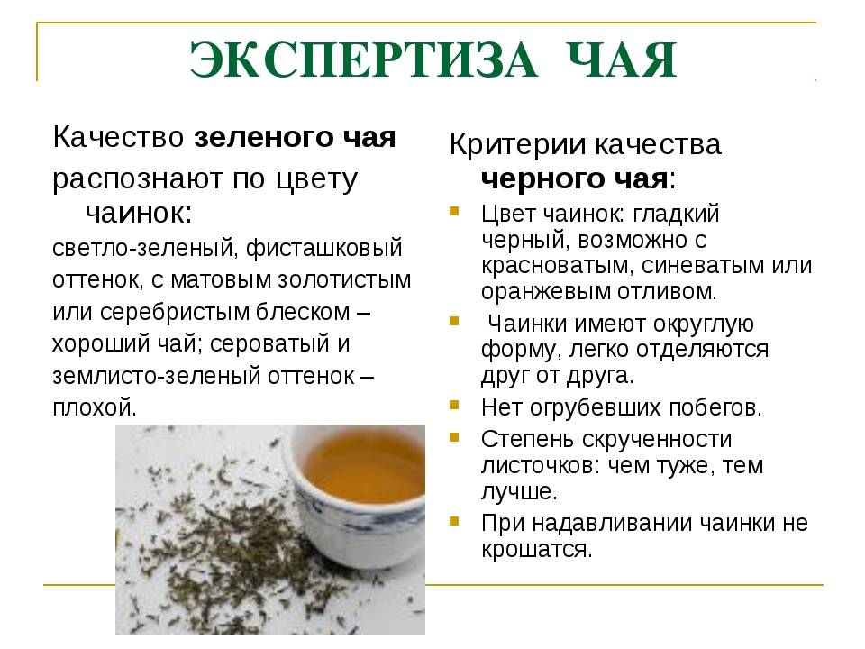 Зеленый чай: состав, сорта, виды, польза и вред