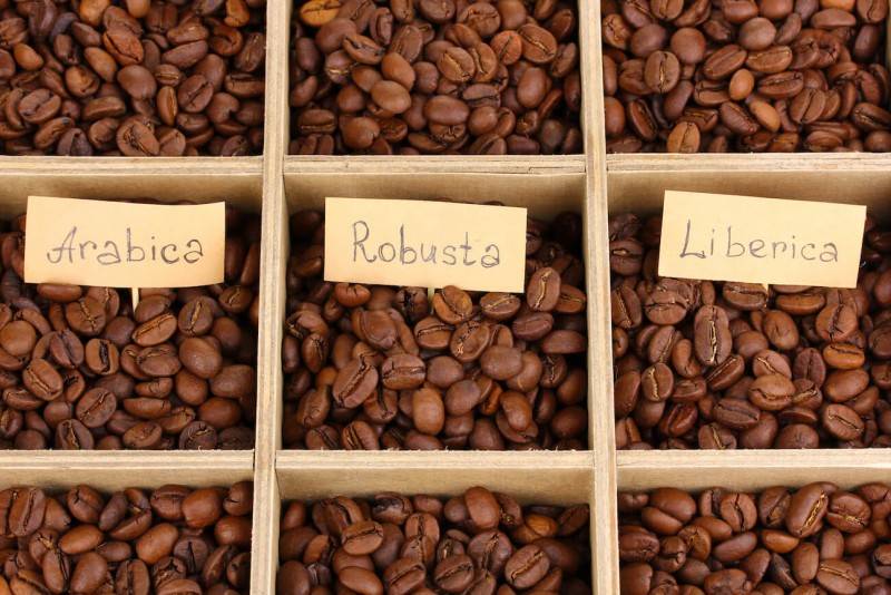 Кофейная индустрия во Вьетнаме – втором экспортере зерен в мире