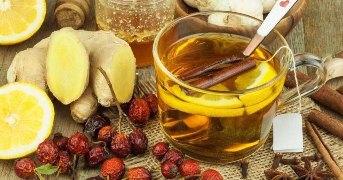 Рецепты чая из корней девясила и свойства растения