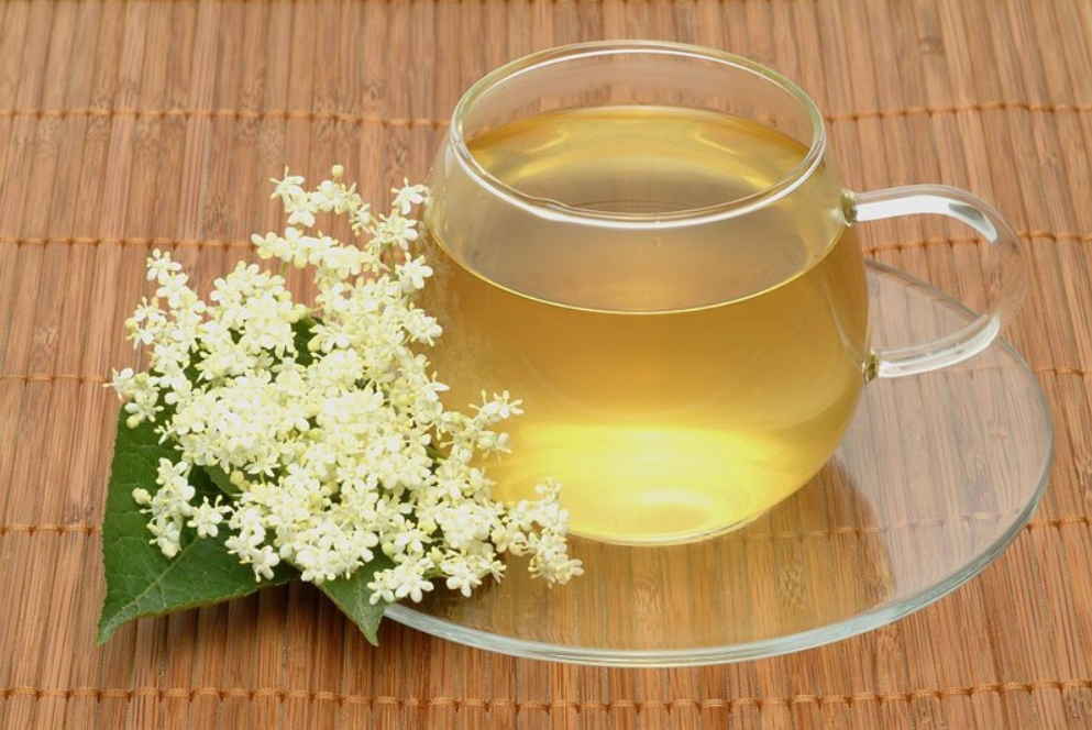 Лечебные свойства акации белой: мед, цветы и прочее, в том числе при онкологии легких medistok.ru - жизнь без болезней и лекарств