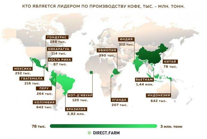 Страны-производители кофе в мире: характеристика и атлас