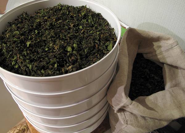 Иван-чай (ферментация листьев кипрея) - мастер-класс - чайку? - страна мам