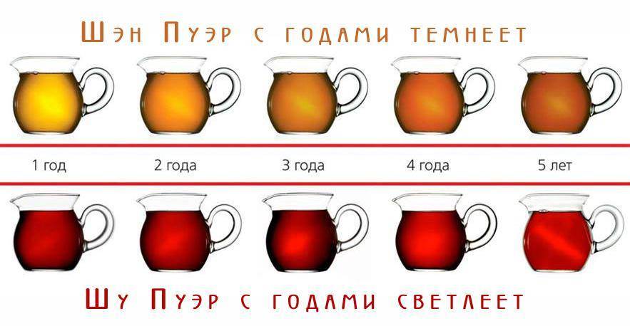 Что такое чай пуэр