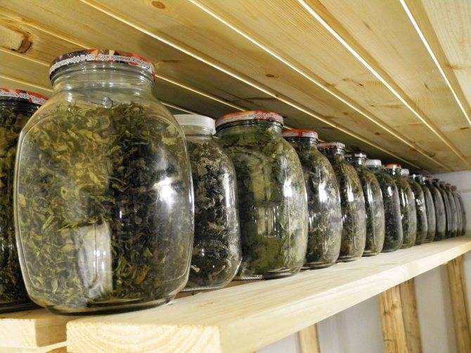 Хранение ферментированного иван чая в домашних условиях • siniy-chay.ru