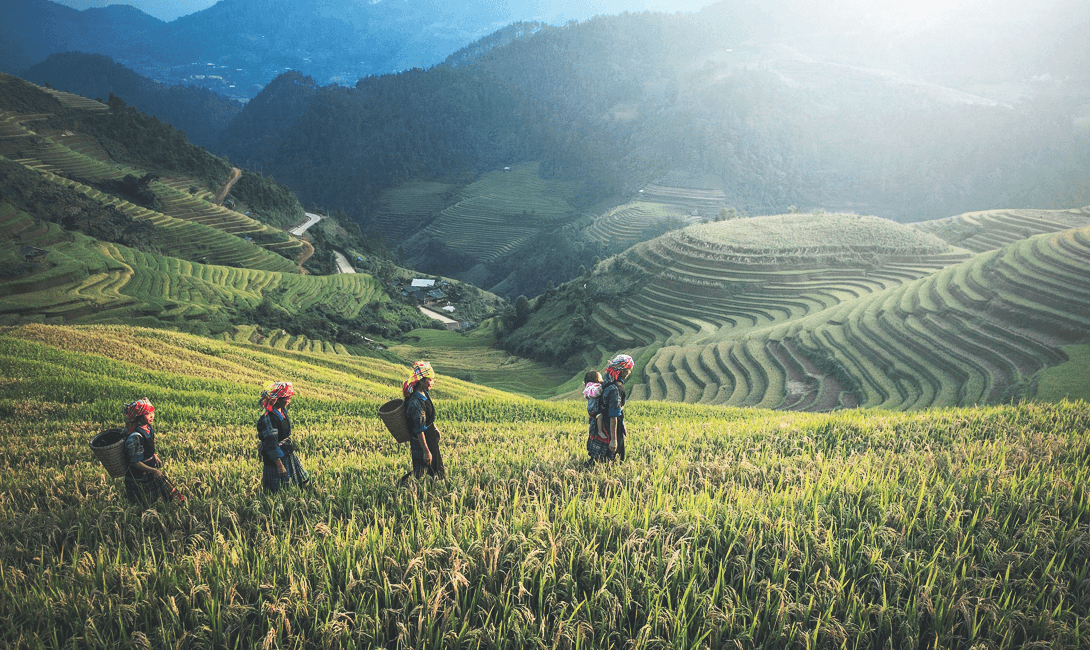 4 ситуации, в которых ваше здоровье скажет «спасибо» за чай с типсами