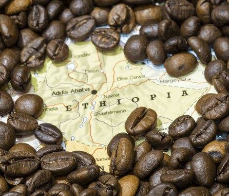 Характеристика эфиопского кофе