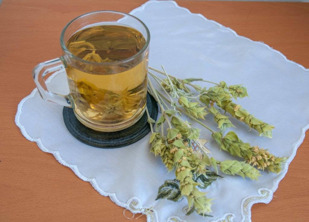 Лапачо - чай из коры муравьиного дерева. полезные свойства и противопоказания
