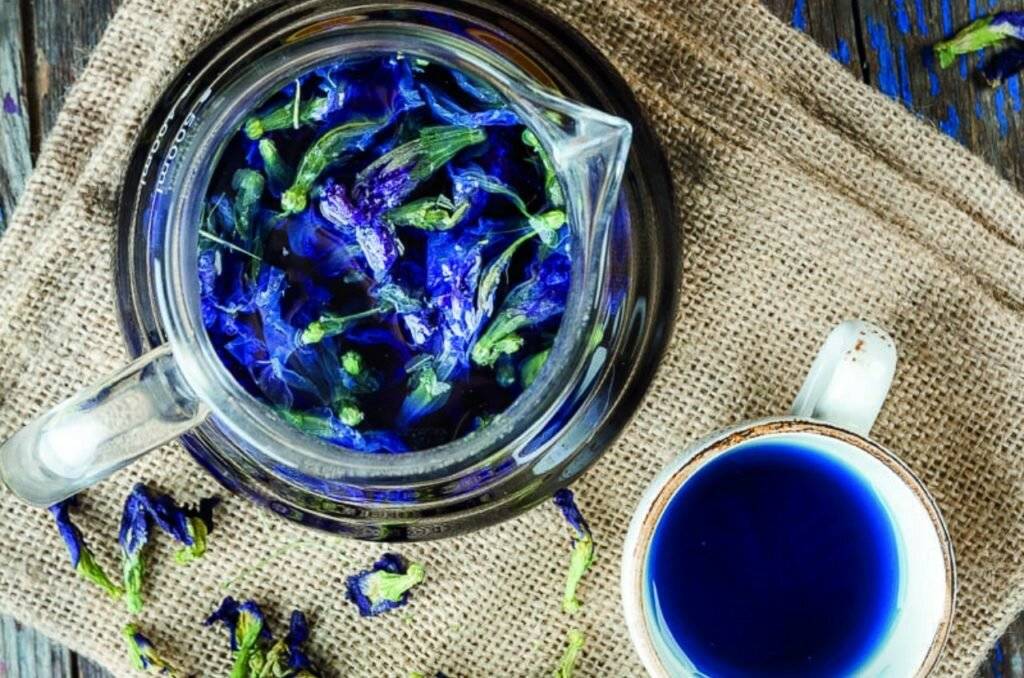 Синий чай: полезные свойства и правильное употребление удивительного чая, рецепты заваривания | здорова и красива