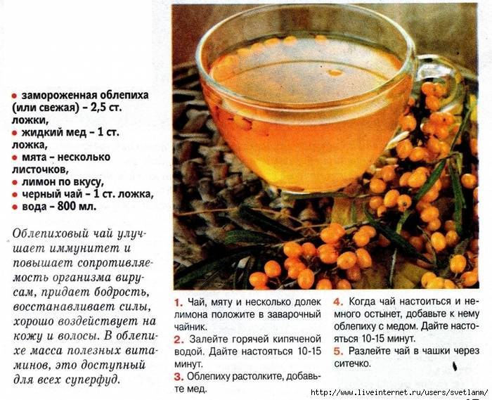 Облепиховый чай – какой рецепт самый вкусный и полезный?