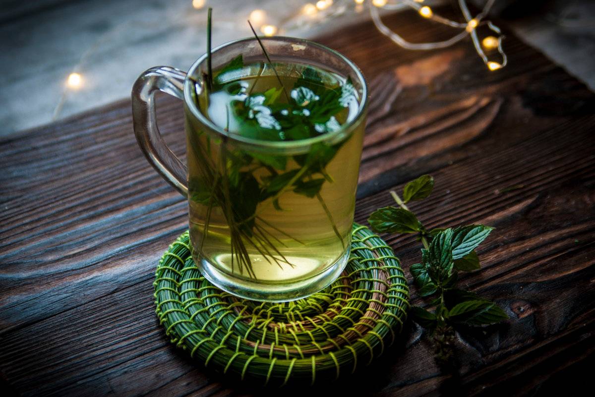 Чай из сосновых иголок: полезные свойства и вред | польза и вред