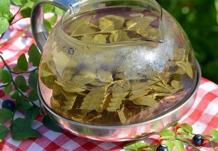 Чай из листьев топинамбура