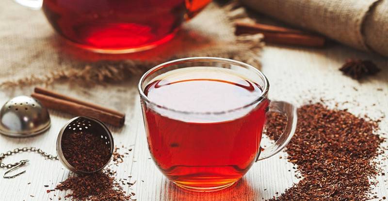 Чай ройбуш: польза, вред и свойства напитка