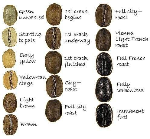Виды обжарки кофе, их отличия, секреты обжарки кофейных зерен