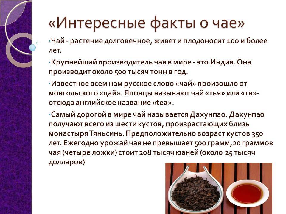 История чая: сказания и легенды, история создания, развития и распространения напитка :: syl.ru