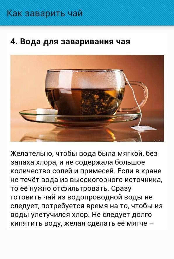 Зеленый чай: как правильно заваривать, выбор качественного чая, температура воды