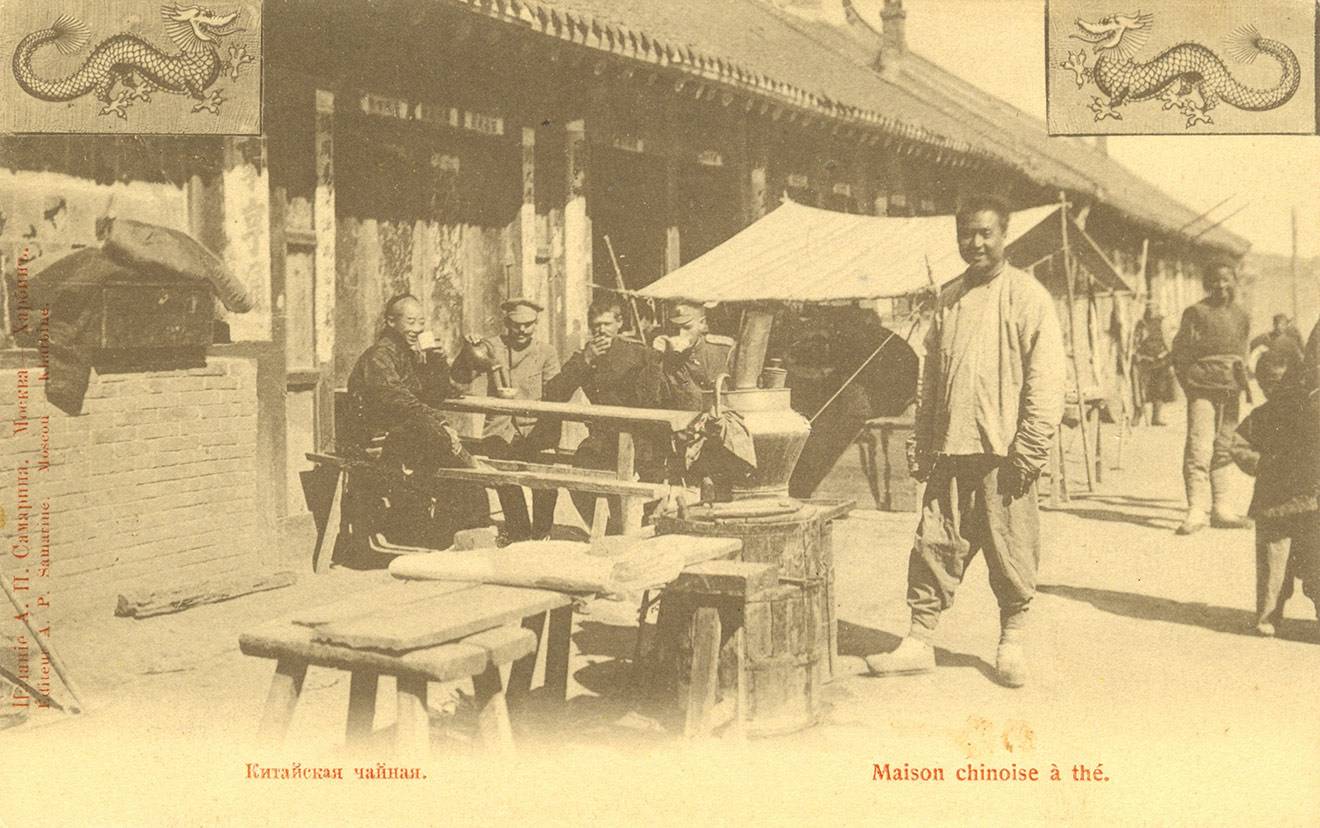 История появления чая от первых плантаций до современных производств (+9 интересных фактов)