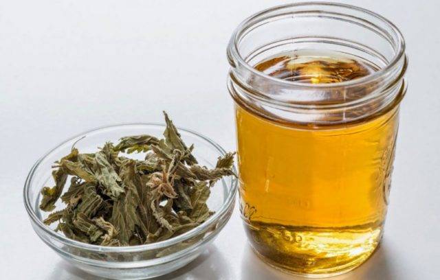 Свойства и рецепты чая с айвой – полезного напитка с приятной вяжущей кислинкой