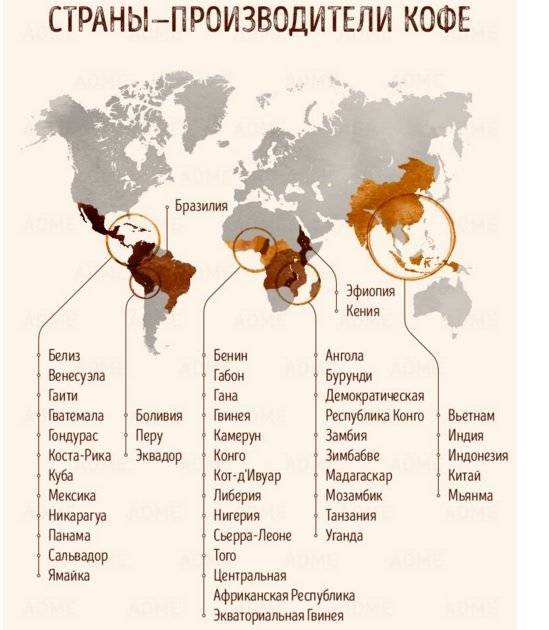 Где растет кофе: в каких странах растет, страны экспортеры