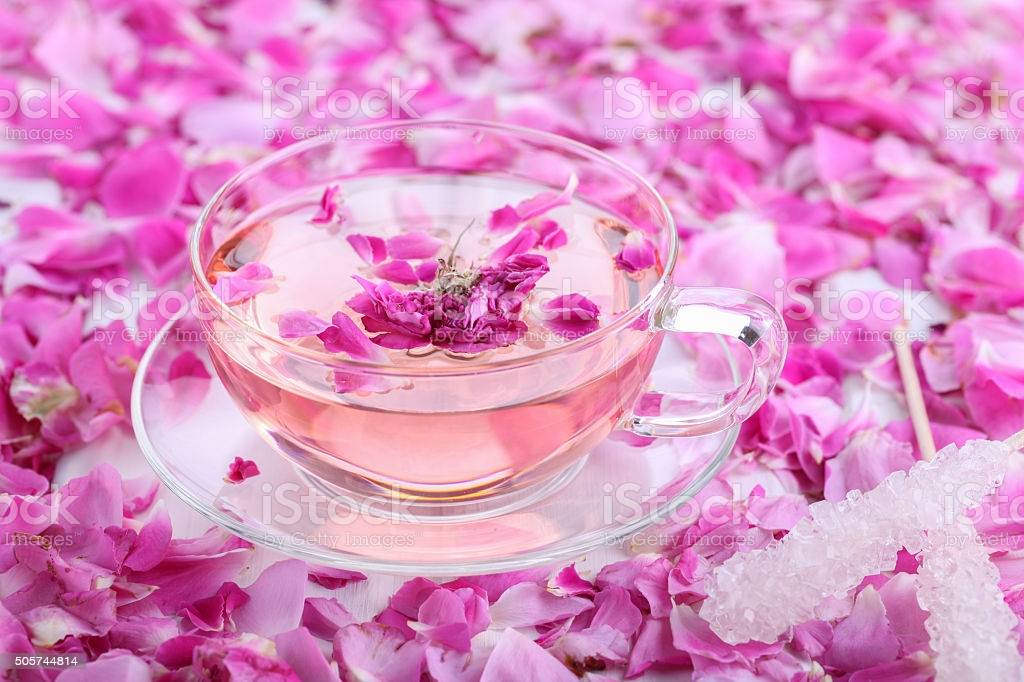 Полезные свойства чай из лепестков роз, способы его заваривания и противопоказания