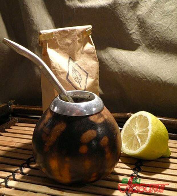 Как пить и заваривать чай мате