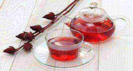 Чай из Краснодарского края