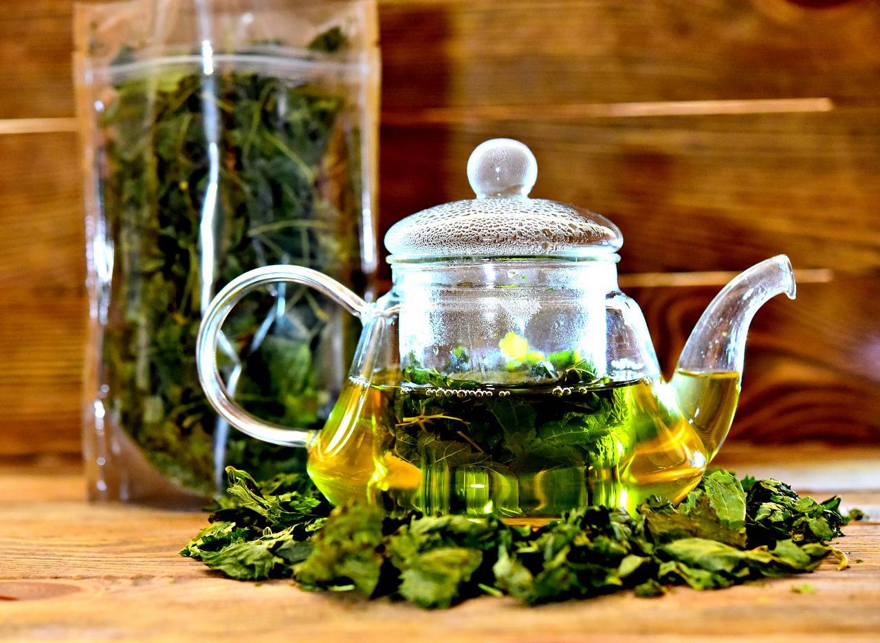 Чай из листьев смородины: польза и вред, рецепты