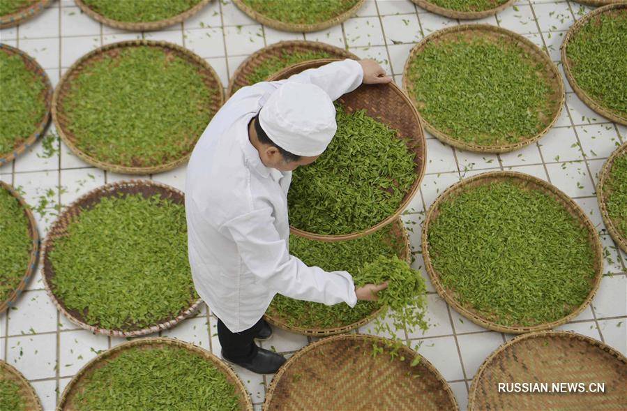 Производство чая - с чего начать в 2022 году и сколько можно заработать - лайфхакер
