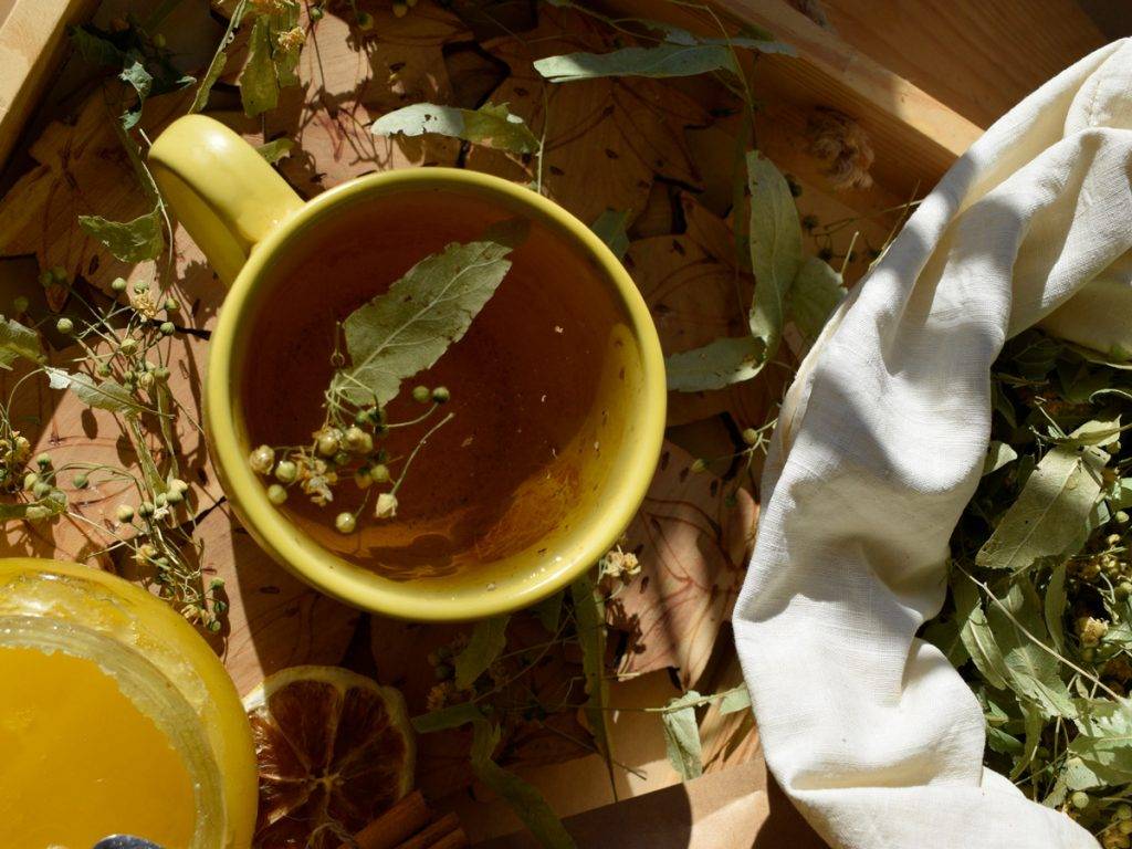 Польза липовых цветов, как собирать и заваривать липовый чай