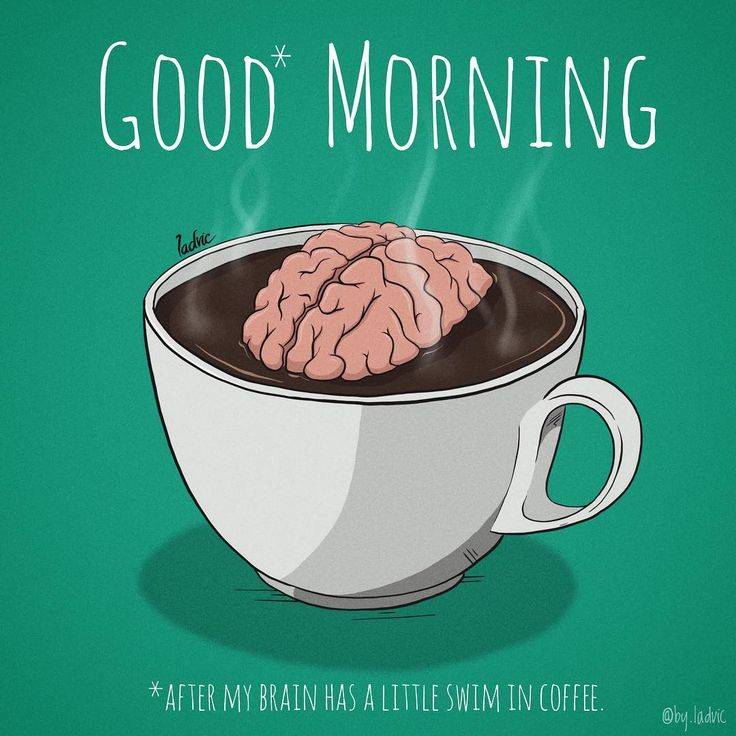 Как кофе влияет на мозг — 6 научных фактов о том, как он действует на кровоснабжение сосудов головы и полезно ли оно для улучшения умственной работы