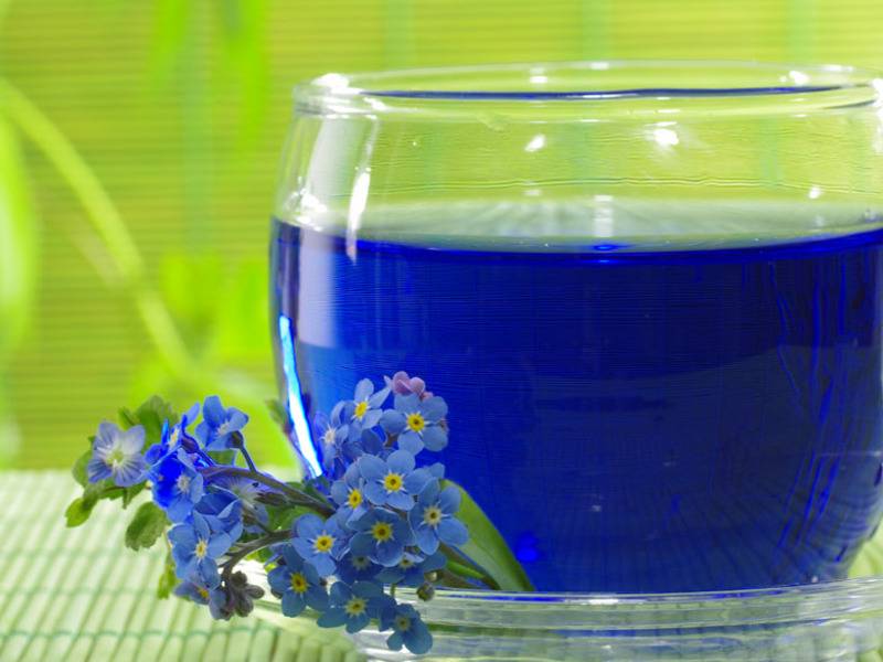 Синий чай анчан из тайланда: что это такое, полезные свойства, рецепты