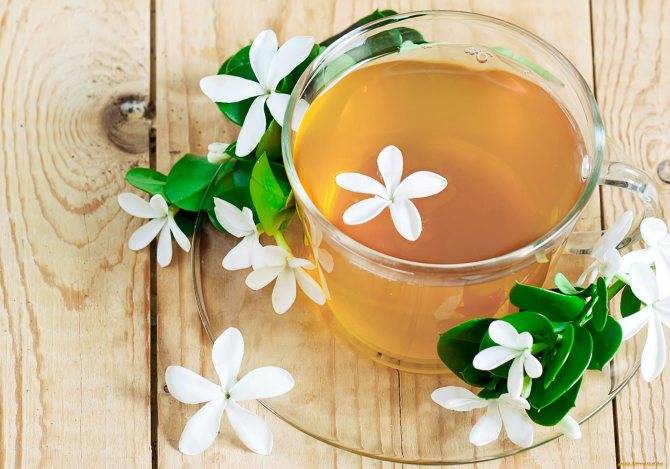 Чем полезен чай с жасмином? польза и вред - пища это лекарство