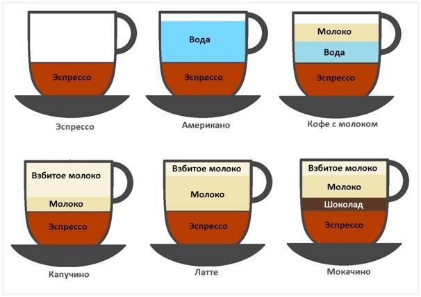 Сравнение кофе латте, капучино, эспрессо, американо, мокка