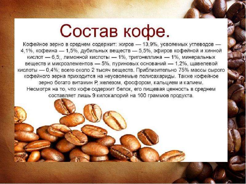 Химический состав и пищевая ценность кофе