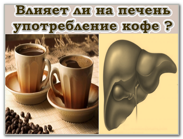 Польза и вред кофе для организма человека — натуральные или растворимый?