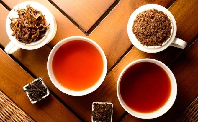 Красный чай: особенности, состав, виды, полезные свойства