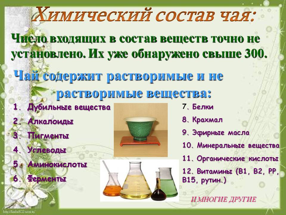 Химический состав чая - какие полезные вещества содержатся в чае