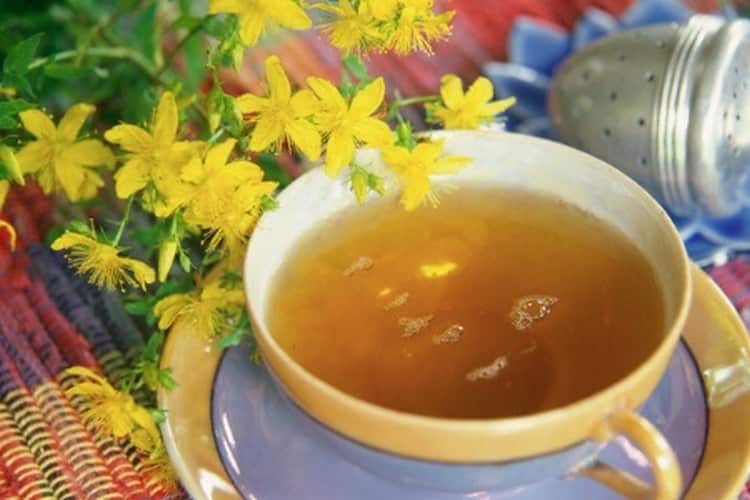Чай из зверобоя польза и вред организму