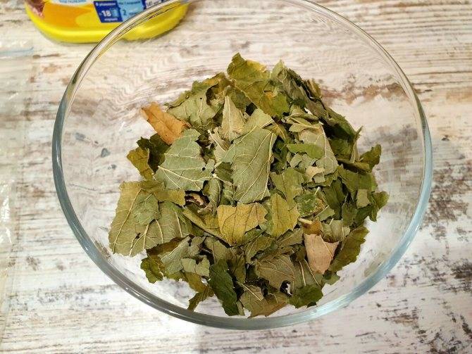 Как ферментировать листья смородины в домашних условиях? ферментация чая из листьев черной и красной смородины