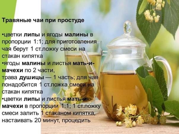 Семерка лучших рецептов чая из трав для лечения простуды