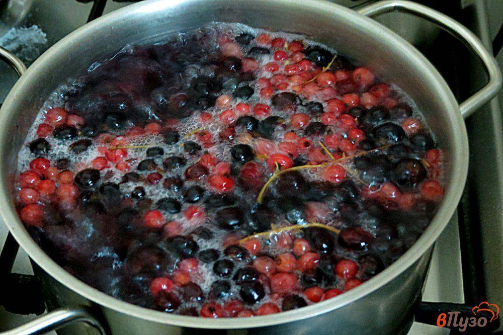 Компот из белой смородины: варианты приготовления – как сварить компот из свежих и замороженных ягод белой смородины » сусеки