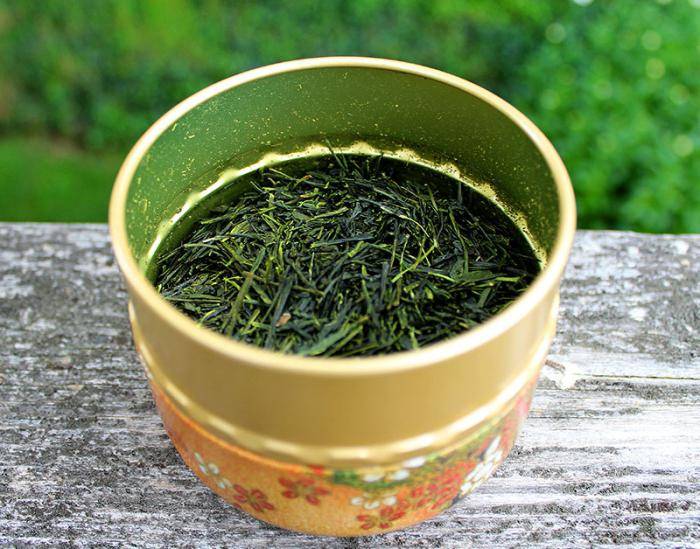 Чайная заварка как удобрение на даче и огороде: как использовать спитой чай