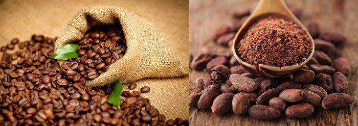 Почему именно какао - чем оно лучше кофе и зеленого чая, чем так полезно