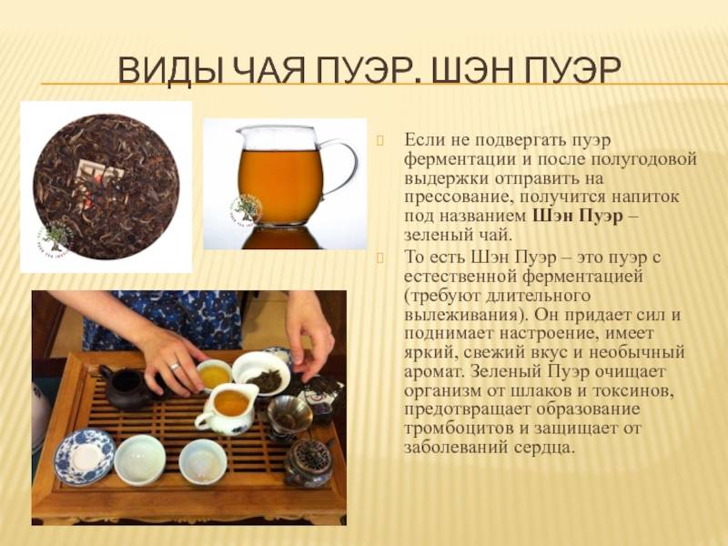 Liferama: как правильно заваривать чай пуэр или так, что бы вставило и перло .
