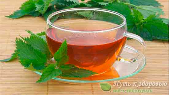 9 интересных рецептов чая из крапивы для поддержания здоровья