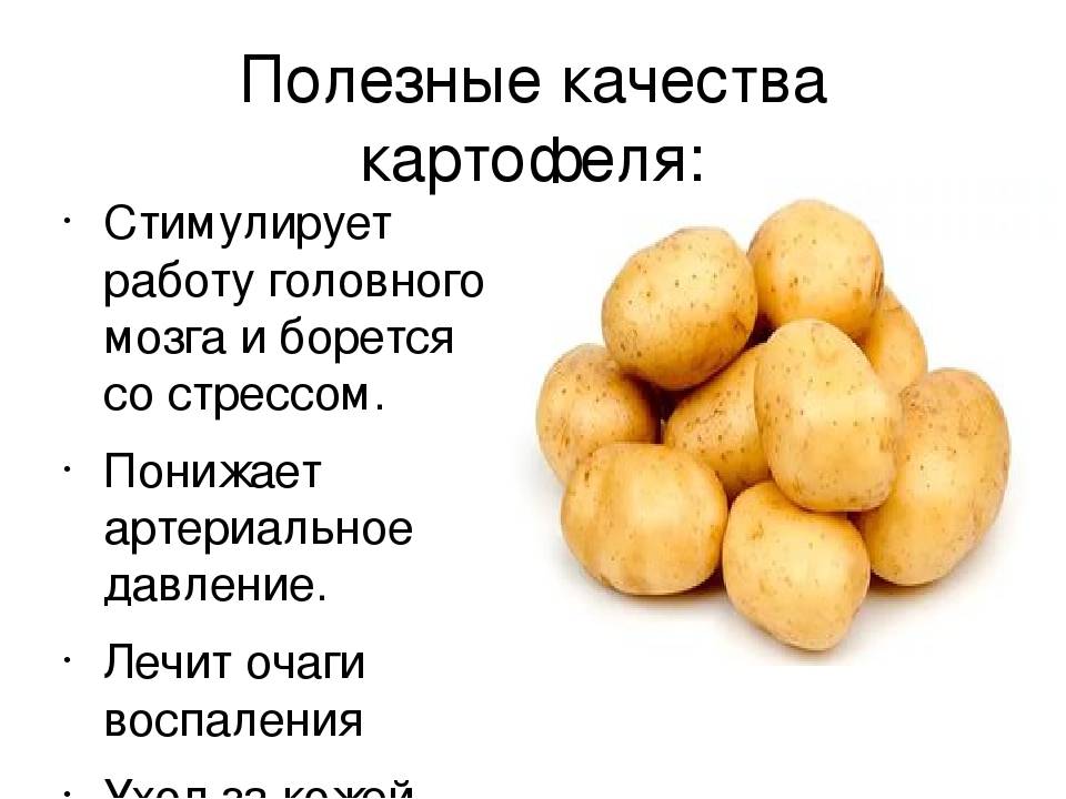 Картофель: полезные свойства и вред, рецепты отваров