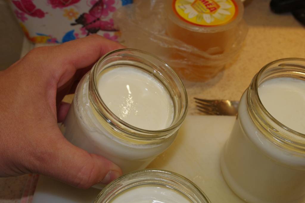 Как сделать йогурт в домашних условиях: технология. рецепты йогурта в домашних условиях: в йогуртнице, термосе, кастрюле