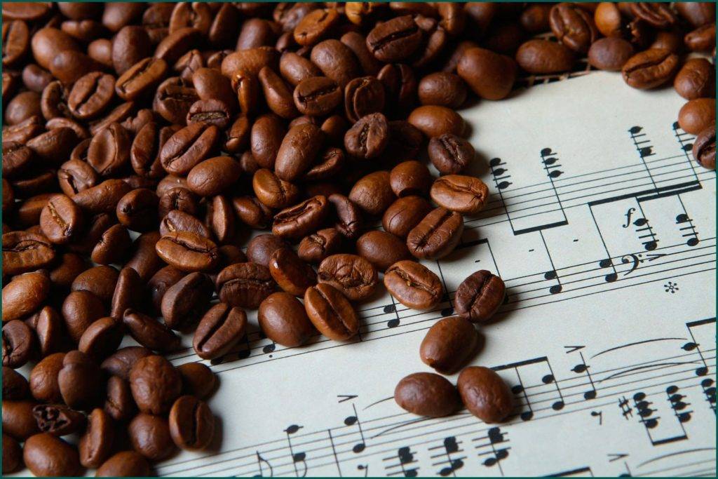 Индийский кофе: история происхождения и роль страны в мировом кофейном экспорте