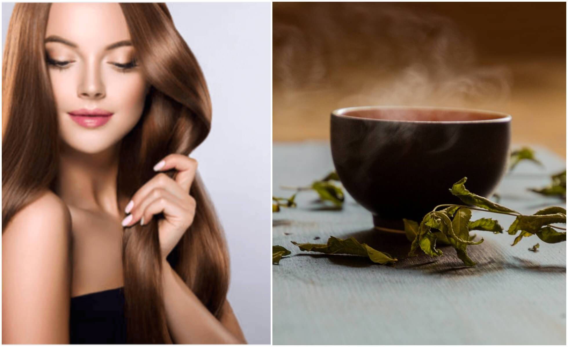Черный чай для волос: состав, польза, способы окрашивания